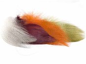 TL Premium Mallard Barred Feathers