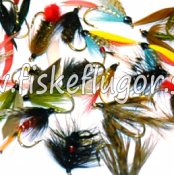 Wet Fly Collection